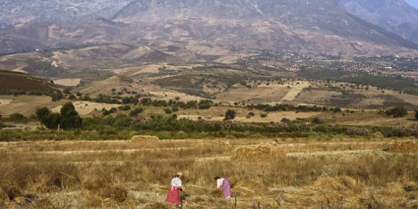 valle-rif-maroc-cvincent-fournier-592x29