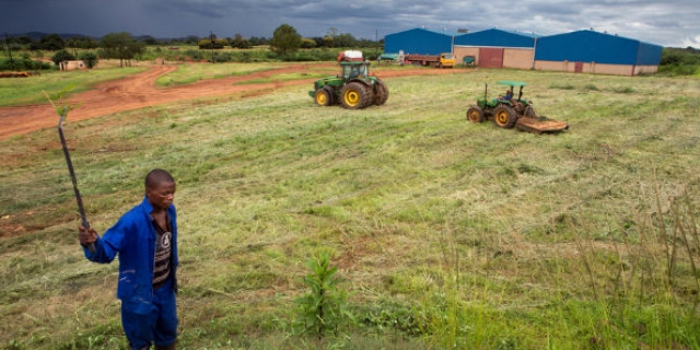 COP 22  l’agriculture africaine peut relever le défi environnemental