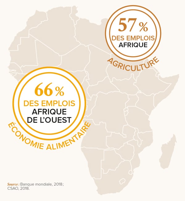 [Infographies] Quels enjeux pour l’agroindustrie en Afrique ? – Jeune