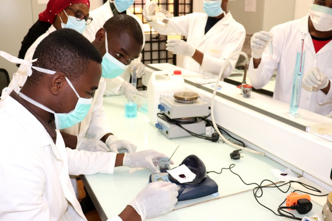 Au Togo, les étudiants en pharmacie se mobilisent contre le coronavirus