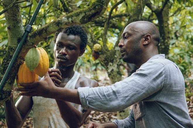 Côte d'Ivoire : 