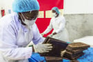 Unité de production de barres de chocolat du groupe Cemoi, à Abidjan.
