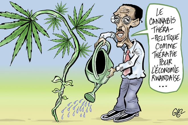[Chronique] Le Rwanda mise sur le commerce du cannabis thérapeutique