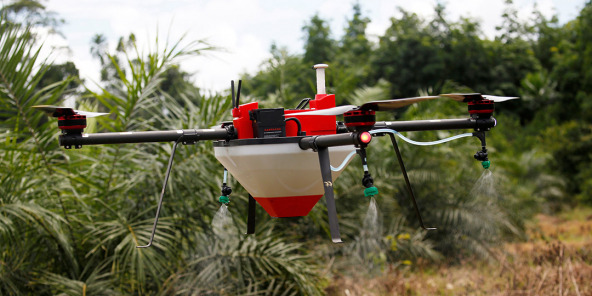 Drone dans une plantation de palmiers à huile, à Tiassale, en Côte d’Ivoire. Les drones pulvérisateurs permettent de traiter 1 hectare douze fois plus vite qu’un travailleur manuel.