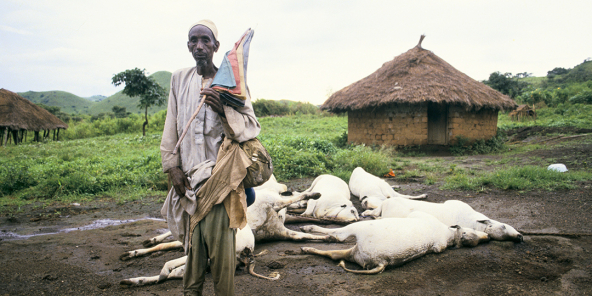 https://www.jeuneafrique.com/medias/2021/06/09/jad20210609-ass-secretsdhistoire-explosionlacnyos-photo2-592x296-1625654436.jpg